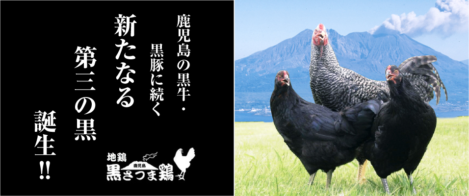 鹿児島の黒牛・黒豚に続く新たなる第三の黒誕生!!「地鶏 黒さつま鶏」