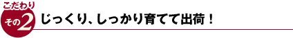 こだわり その2 じっくり、しっかり育てて出荷!